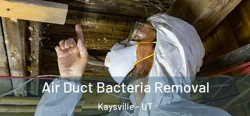  Air Duct Bacteria Removal Kaysville - UT