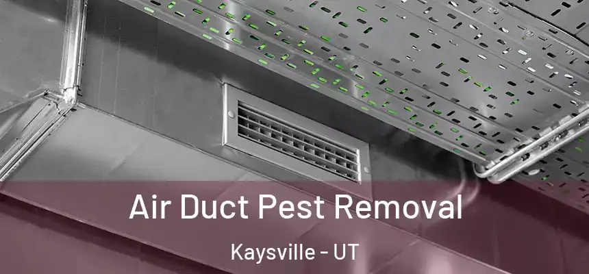  Air Duct Pest Removal Kaysville - UT