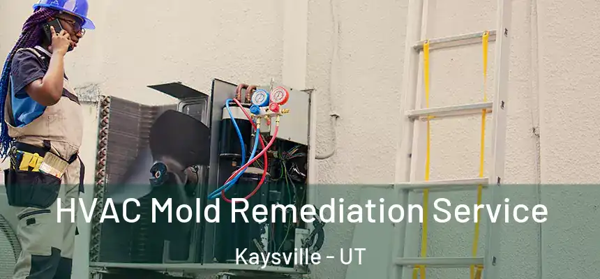  HVAC Mold Remediation Service Kaysville - UT