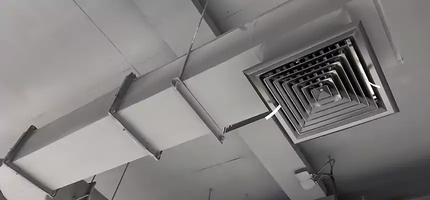 Our Pest Removal From Ducts Services in Kaysville, UT