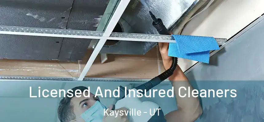  Licensed And Insured Cleaners Kaysville - UT