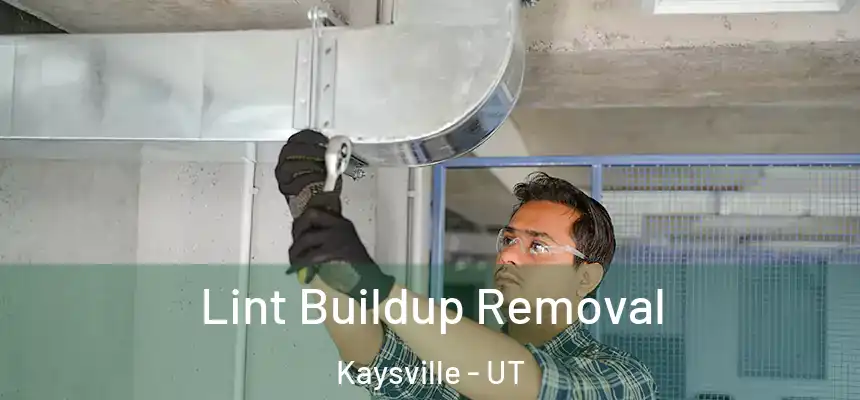  Lint Buildup Removal Kaysville - UT