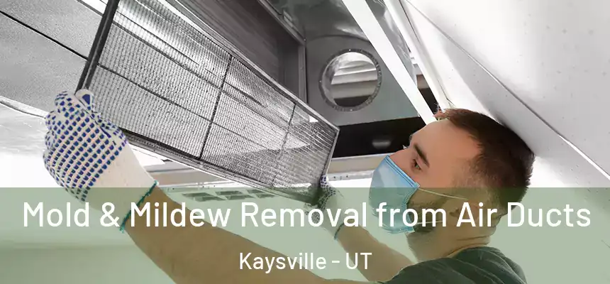  Mold & Mildew Removal from Air Ducts Kaysville - UT