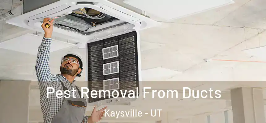  Pest Removal From Ducts Kaysville - UT