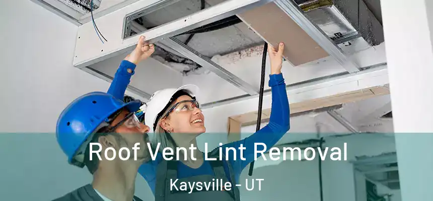  Roof Vent Lint Removal Kaysville - UT