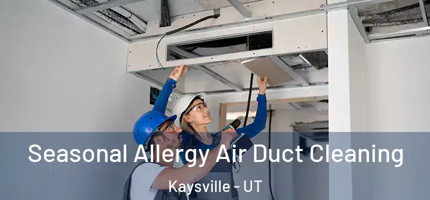  Seasonal Allergy Air Duct Cleaning Kaysville - UT