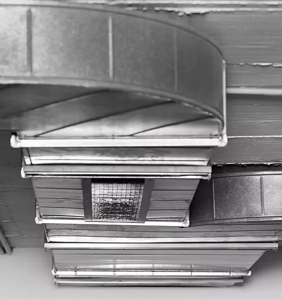 Professional Air Duct Pest Removal in Kaysville, UT