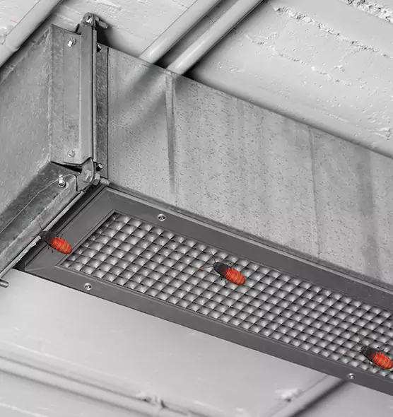 Affordable Insect Removal from Air Ducts in Kaysville, UT