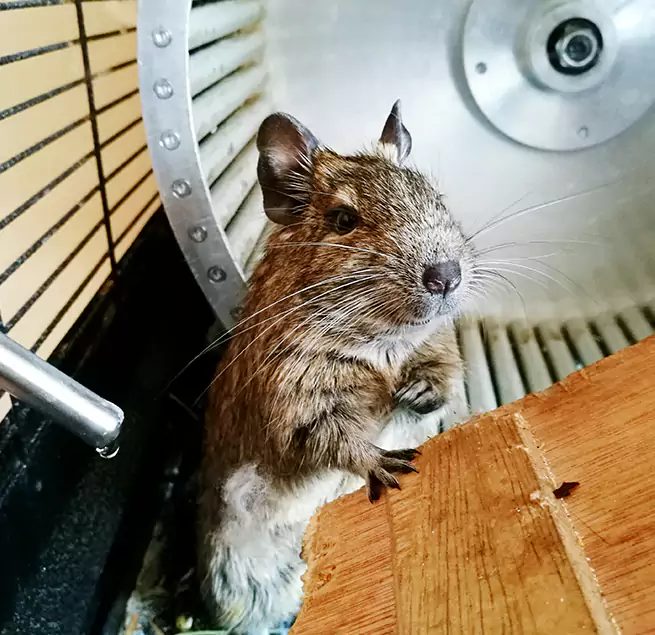 Why Homeowners & Businesses Trust Us Kaysville, UT?